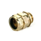 Axis Brass Cable Gland A2 2